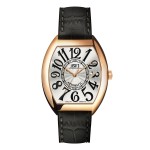 AWI 2444A.5 Men's Automatic Mechanical Watch