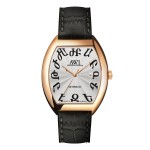 AWI 2444A.T5 Men's Automatic Mechanical Watch