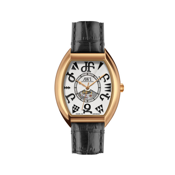 AWI 2445A.T5 Men's Automatic Mechanical Watch